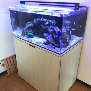 引取先決定　最終値下げ　アクリルオーバーフロー水槽　90×60×45cm 幅900 ※オマケ付き　海水魚
