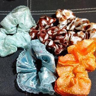 シュシュです。