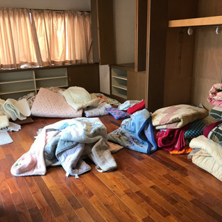 【無料】冬になる前に! 布団 枕 毛布 寝具 どれでも無料!(日...