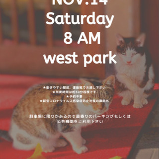 メンバー大募集中！朝の公園で私達と一緒に運動しませんか？初心者大...