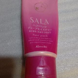 シュシュです。の画像