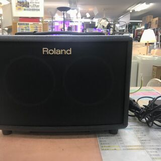 Roland ローランド アコースティック ギター アンプ AC-33