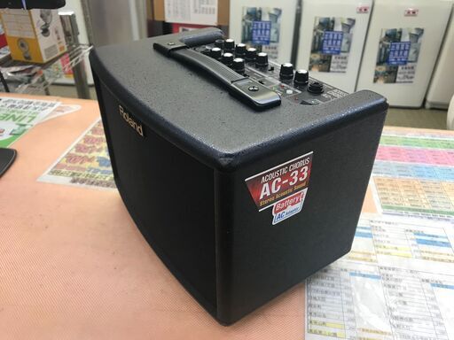 Roland ローランド アコースティック ギター アンプ AC-33