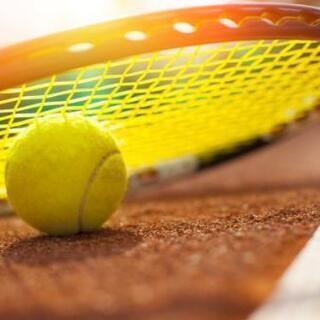 🎾11/14【社会人限定❗】テニス会イベントのお知らせ🎾