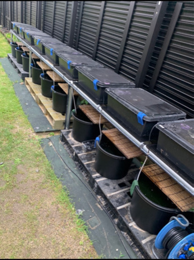 めだか繁殖セット