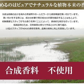 【新品】アロマ 5mlx6本セット エッセンシャルオイル お試しセット【AEAJ表示基準適合認定精油】 の画像