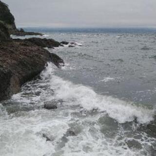 釣～リング仲間を募集 - 友達