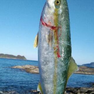 釣～リング仲間を募集