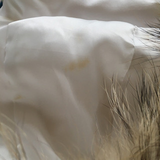 ダウンコート白　サイズ38  フード取り外し可の画像