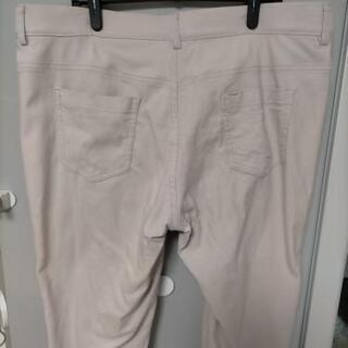 17号 3L 色々の画像