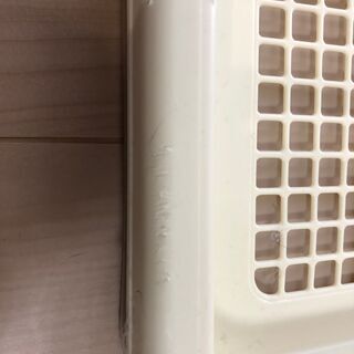 犬用　トイレトレー/ペットシートの画像