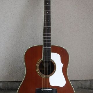 Morris MG-702s DV　中古　訳あり　アコースティッ...