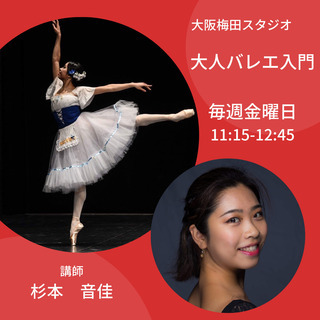 大人バレエ入門クラス　スタジオマーティ大阪梅田スタジオの画像