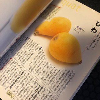 おしゃれなフルーツカクテルの事典の画像