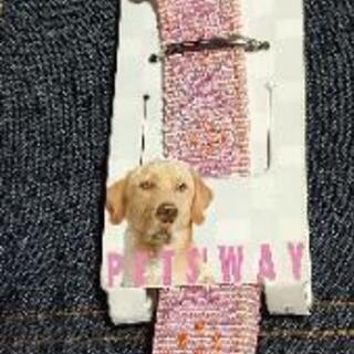 犬のハーネスとリードセットです。新品です。の画像
