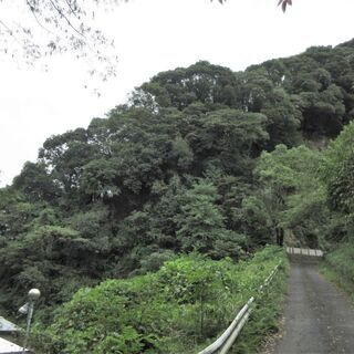 鹿児島市五ヶ別府町【売地】資材置き場向約42坪120万円 - 不動産