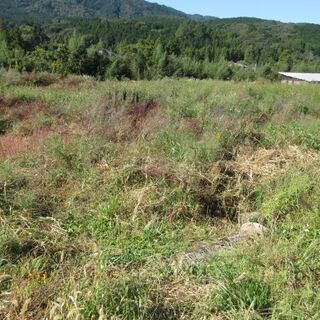 荒地、放置畑、ハンマーナイフモア、草の粉砕、ユンボで耕し整地、一人作業、現状回復 - 地元のお店