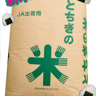 完売しました！新米ゆうだい30キロ玄米