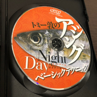 アジング　DVD