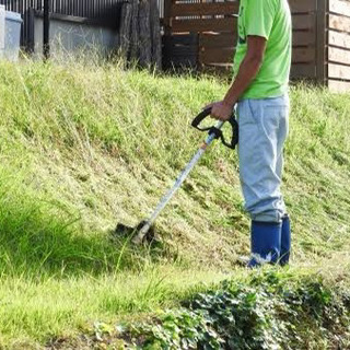 大分の雑草木の刈り倒しの見積もり（集草、処分いりません）