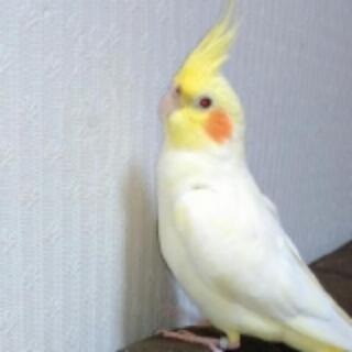 那珂川市片縄より逃げてしまいました