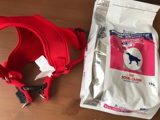 激得！新品！犬用ハーネス（L）＆ロイヤルカナン