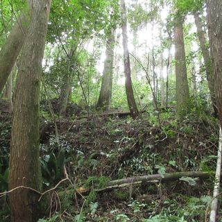 鹿児島市郡山町【売地】現況山林資材置場向き約202坪120万円 - 鹿児島市