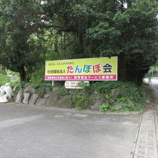 鹿児島市郡山町【売地】現況山林資材置場向き約202坪120万円 - 不動産