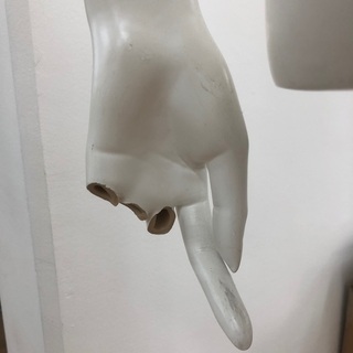 トルソーレディス　9号の画像