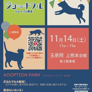 ジョートフルの楽しい保護犬猫譲渡会、ついに再開！