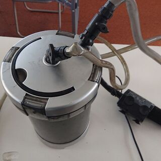 外部フィルター水槽熱帯魚