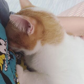 同性のお友達募集😊