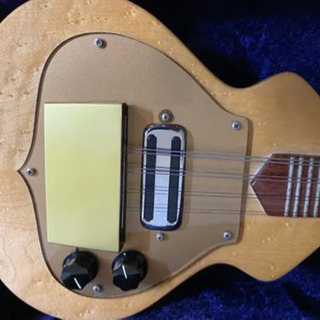 マンドリン Rickenbacker リッケンバッカーの画像