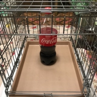 ウサギ？のキャリー？クレート？の画像