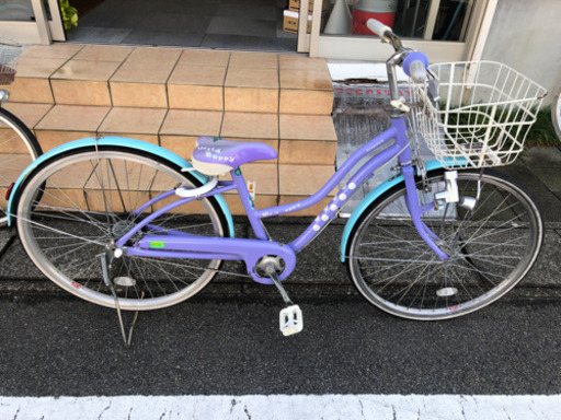 BS ワイルドベリー260 PP