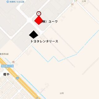 ペイズリー柄 ランチョンマット 20枚セットの画像