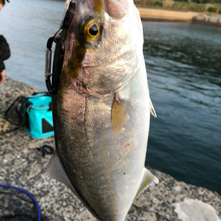 福岡で釣りに一緒に行ってくれる方！