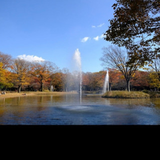 代々木公園を一緒に散歩しませんか？( 日中 1~2時間くらいのつもりです。) - 渋谷区