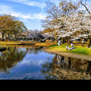 代々木公園を一緒に散歩しませんか？( 日中 1~2時間くらいのつもりです。) - メンバー募集