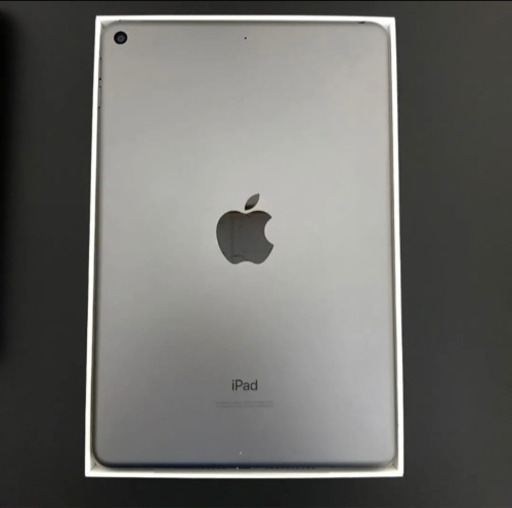 ipad mini 5th 64GB