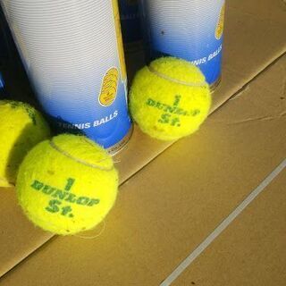 硬式テニスボール(黄色)の画像