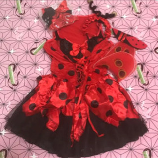 コスプレ ハロウィン てんとう虫 テントウムシ テントウムシ