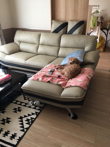 ニトリ、カウチソファー、ベージュ