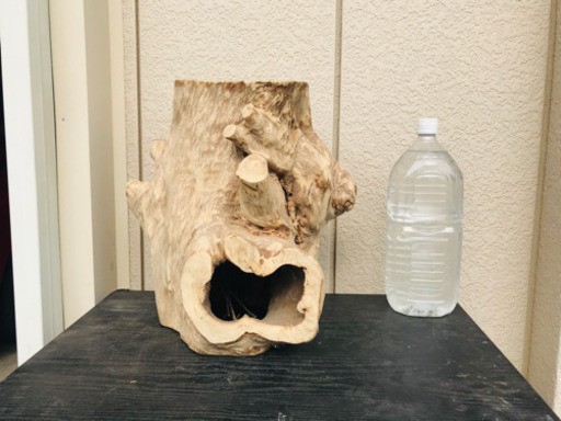 流木⑪