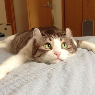 ゆるーく友達募集