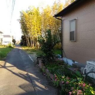 伐採済も数本有ります。竹です。　竹炭、竹馬、物干し竿等にご利用い...