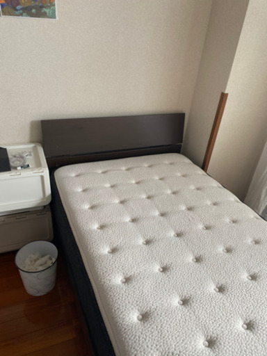 ニトリ　Nスリープ　23日までの投稿