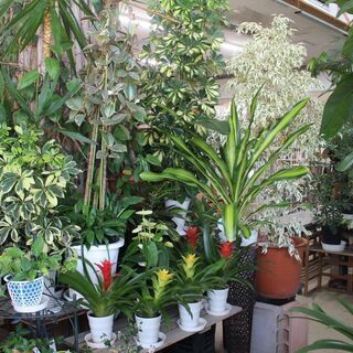 茨城県　筑西市　 (有)花仙　バイト歓迎募集中！お花が好きな仲間と一緒に楽しく働きませんか。の画像