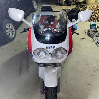 FZR250