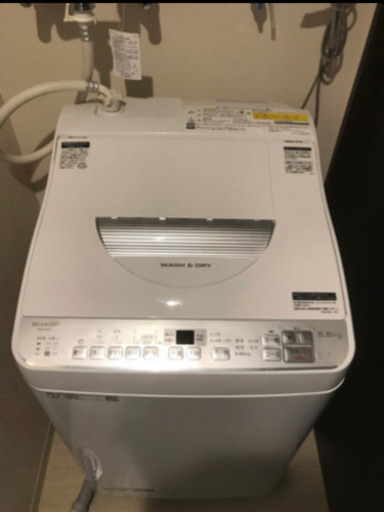 極美品　最新の乾燥付き洗濯機　コンパクト　2019年製